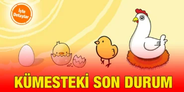 tuik_kriter_haber