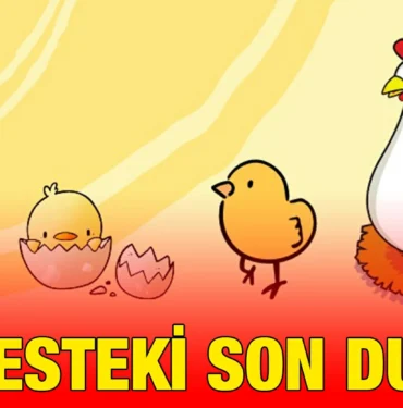 tuik_kriter_haber