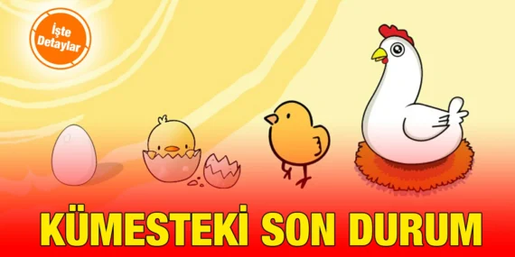 ŞUBAT 2024 KÜMES HAYVANCILIĞI ÜRETİMİ