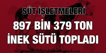 tuik_kriter_haber