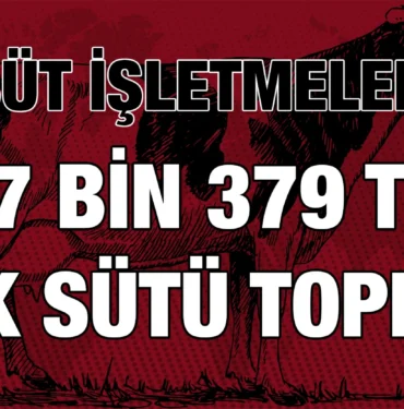 tuik_kriter_haber