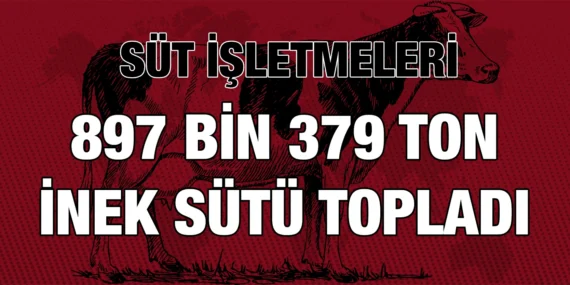 ŞUBAT 2024 SÜT VE SÜT ÜRÜNLERİ ÜRETİMİ
