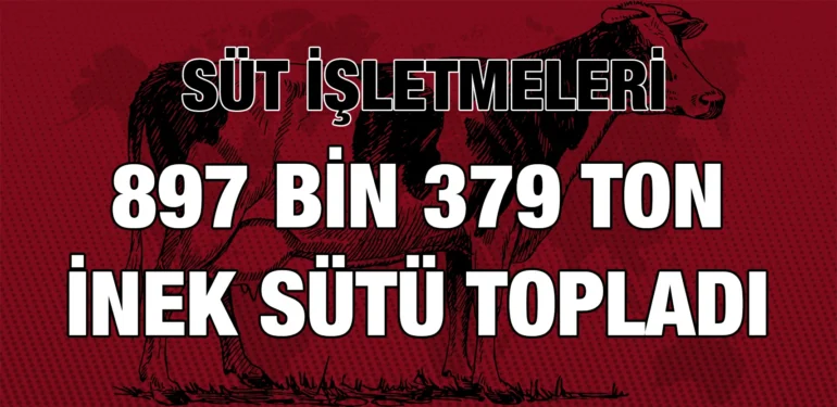 tuik_kriter_haber