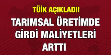 tuik_kriter_haber