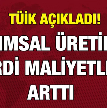 tuik_kriter_haber