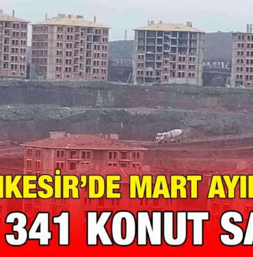 tuik_kriter_haber