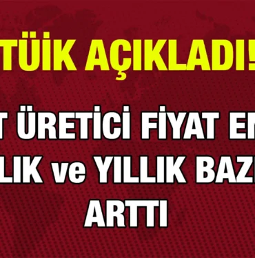 tuik_kriter_haber
