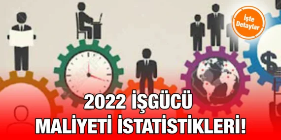 2022 İŞGÜCÜ MALİYETİ İSTATİSTİKLERİ