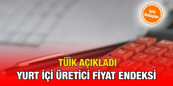 YURT İÇİ ÜRETİCİ FİYAT ENDEKSİ MART 2024