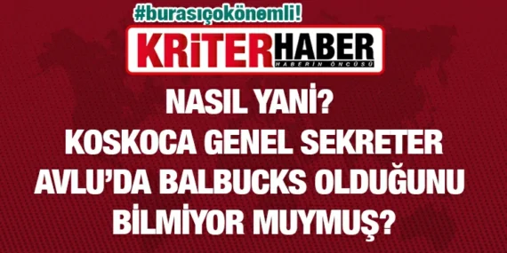 “AVLU’YA DA BALBUCKS AÇMAK LAZIM İYİ OLUR” NE DEMEK? :)