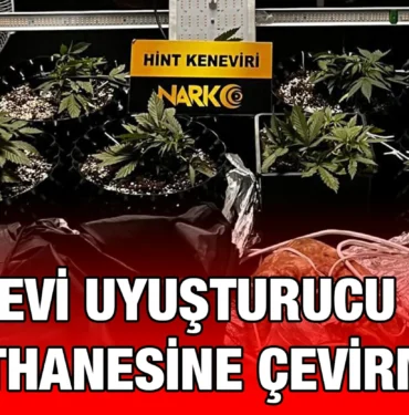 ayvalik_kriter_haber
