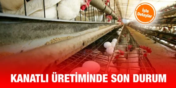 KÜMES HAYVANCILIĞI ÜRETİMİ VERİLERİ