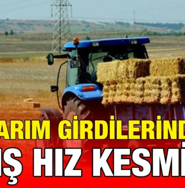 tuik_kriter_haber