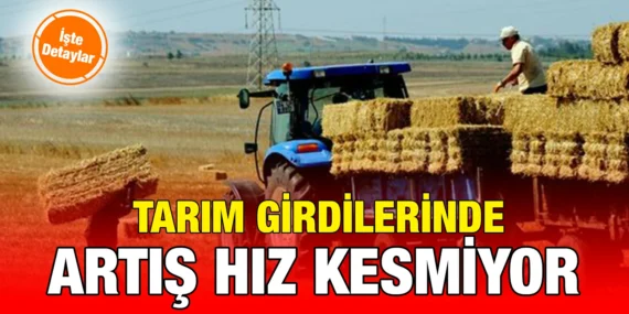 TARIMSAL GİRDİ FİYAT ENDEKSİ, MART 2024