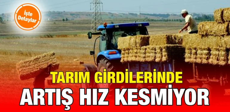 tuik_kriter_haber