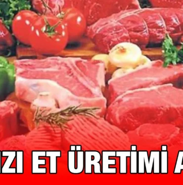 tuik_kriter_haber