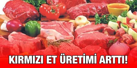 2023 KIRMIZI ET ÜRETİM İSTATİSTİKLERİ