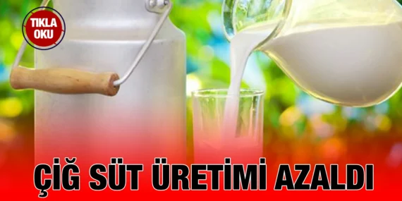 2023 ÇİĞ SÜT ÜRETİM İSTATİSTİKLERİ