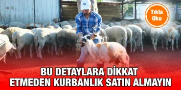 kurban_kriter_haber