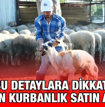kurban_kriter_haber