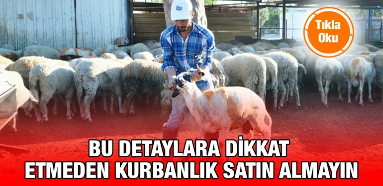 kurban_kriter_haber
