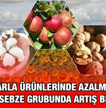 tuik_kriter_haber