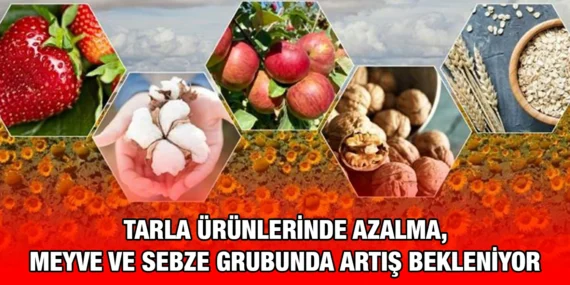 BİTKİSEL ÜRETİM 1.TAHMİNİ, 2024