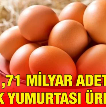 tuik_kriter_haber
