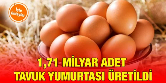 NİSAN 2024 KÜMES HAYVANCILIĞI ÜRETİMİ