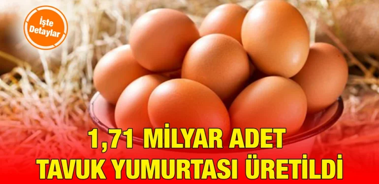 tuik_kriter_haber