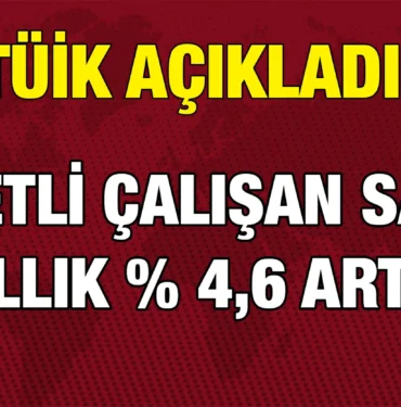 tuik_kriter_haber