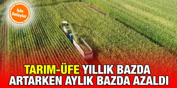 TARIM ÜRÜNLERİ ÜRETİCİ FİYAT ENDEKSİ, MAYIS 2024