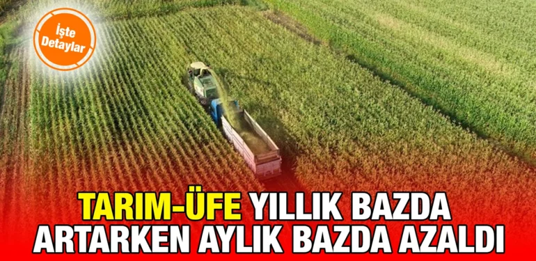 tuik_kriter_haber
