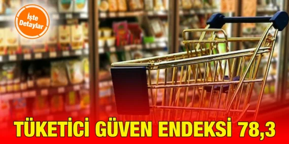TÜKETİCİ GÜVEN ENDEKSİ, HAZİRAN 2024