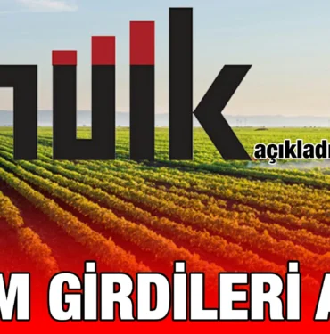 tuik_kriter_haber