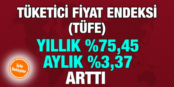 TÜKETİCİ FİYAT ENDEKSİ, MAYIS 2024