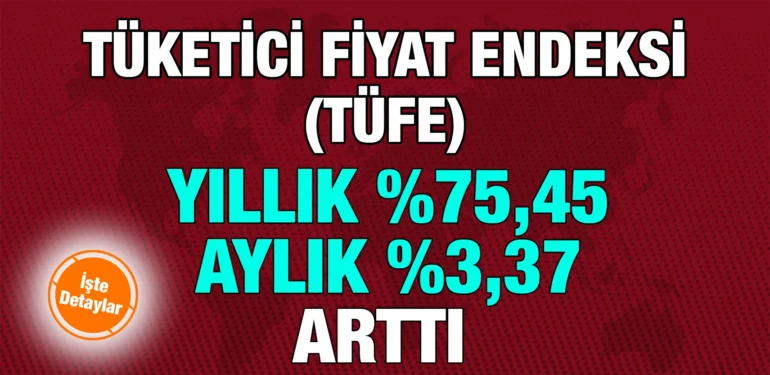 tuik_kriter_haber