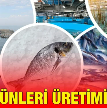 tuik_kriter_haber