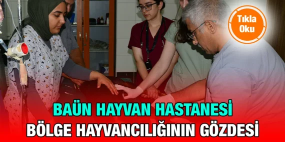 BAÜN TÜM ALANLARDA DEĞER ÜRETİYOR