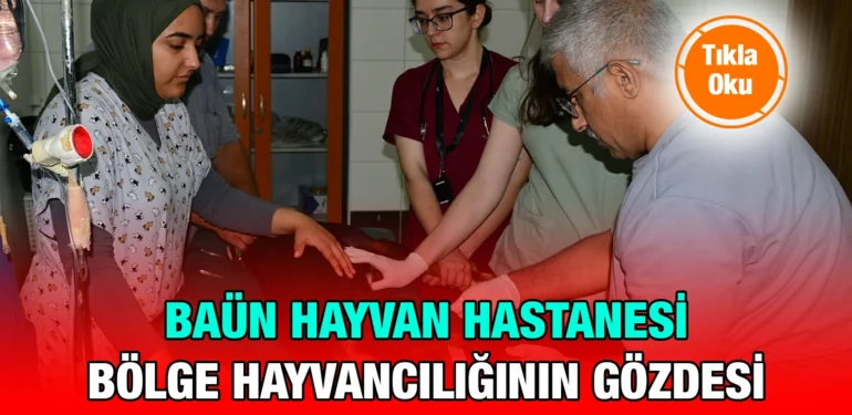 baun_kriter_haber