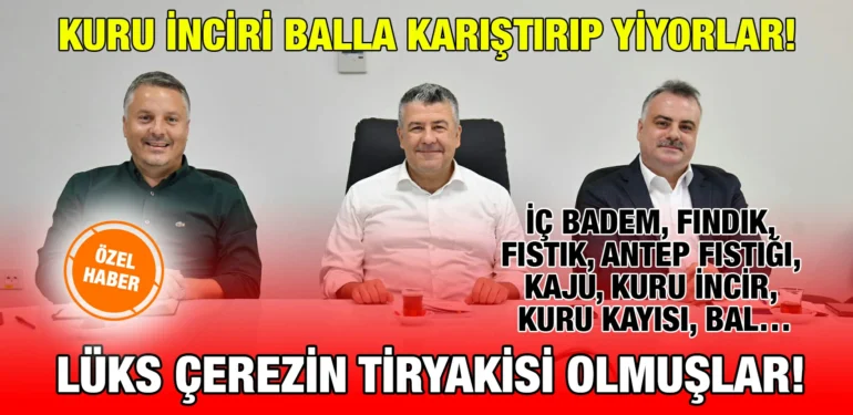 karesi_kriter_haber