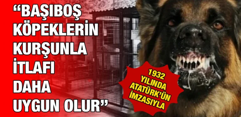 kopek_kriter_haber
