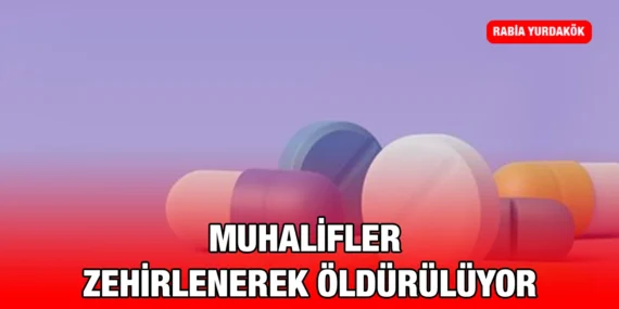 DEVLETE KARŞI DİZGİNSİZ MUHALEFETİN KORKUNÇ BEDELİ OLABİLİR