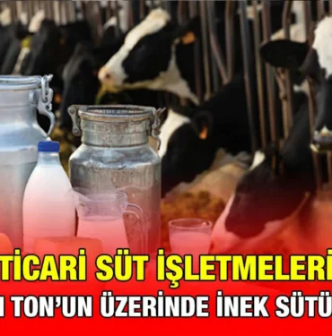 sut_kriter_haber