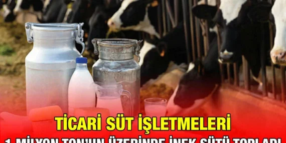 SÜT VE SÜT ÜRÜNLERİ ÜRETİMİ MAYIS 2024