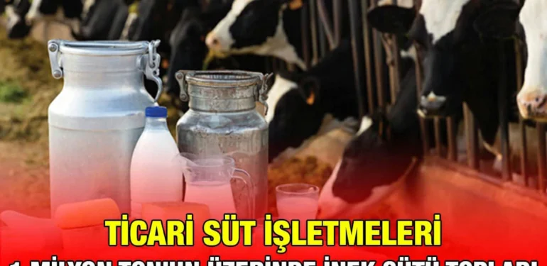 sut_kriter_haber