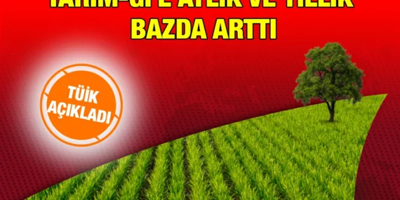 TARIMSAL GİRDİ FİYAT ENDEKSİ MAYIS 2024