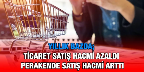 TİCARET SATIŞ HACİM ENDEKSİ MAYIS 2024