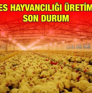 tuik_kriter_haber