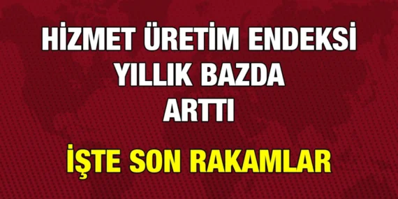 HİZMET ÜRETİM ENDEKSİ, MAYIS 2024